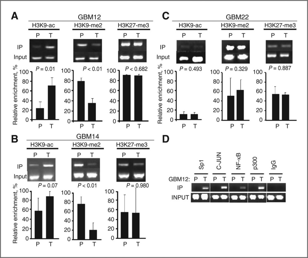 Advancements in Protein lipidation Research
